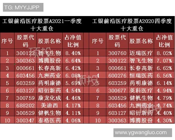 重庆排球队以78分领跑挑战赛积分榜展现强劲实力和团队合作精神