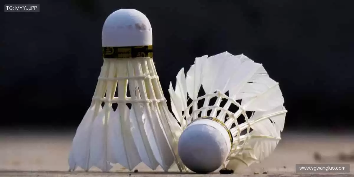 💻实时互动，与千万球迷共燃热血！💬